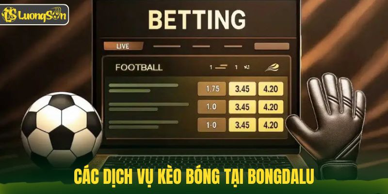 Các dịch vụ được cung cấp phổ biến tại Bongdalu